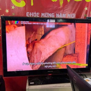 Tivi Samsung 46b7000 46inch LED 3 cổng hdmi